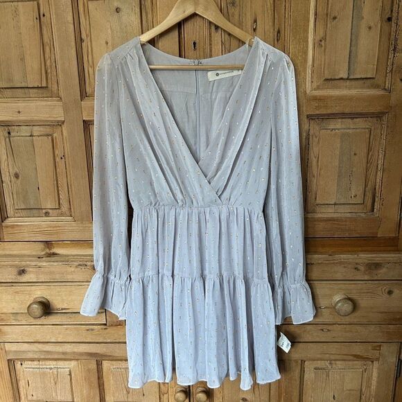 NWT The Impeccable Pig Small V-Neck Dress Metallic Silver Gold‎ Dash Long Sleeve - Picture 1 of 12